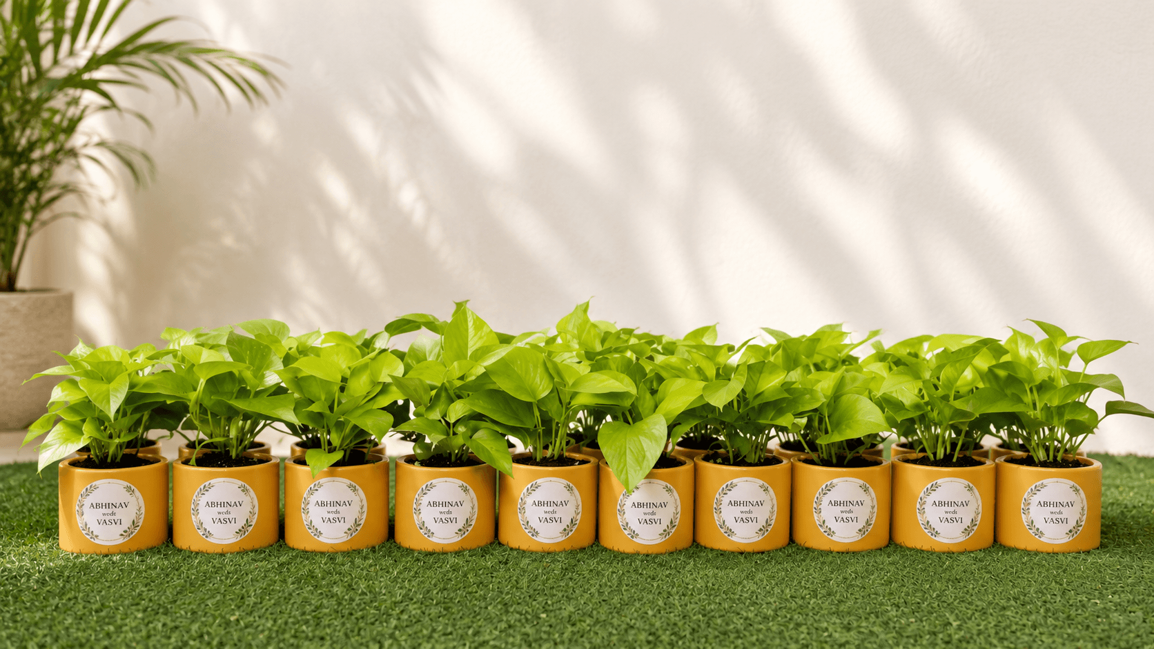 Personalized potted plants arranged as wedding favours