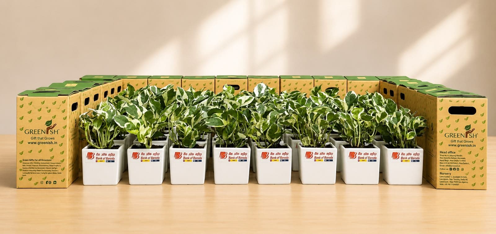 Customized Greenish plant gifts arranged for a corporate event